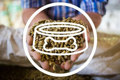 Feed_Industry_1920x1920