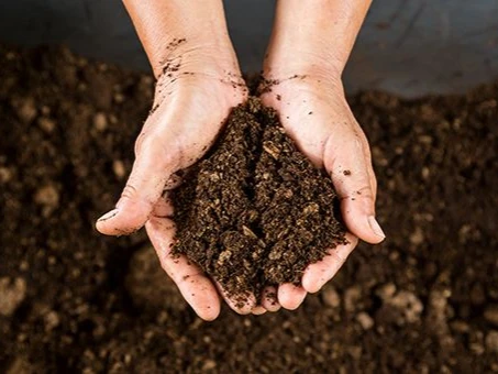 Agriculture_iStock489871228_min_1920x1920